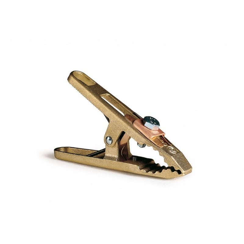 Pince de masse en laiton 200 A GAMMA 1